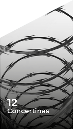 12-CONCERTINAS-1 CONCERTINAS