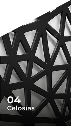 4-CELOSIAS-1 celosias