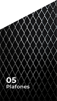 5-PLAFONES-1 plafones